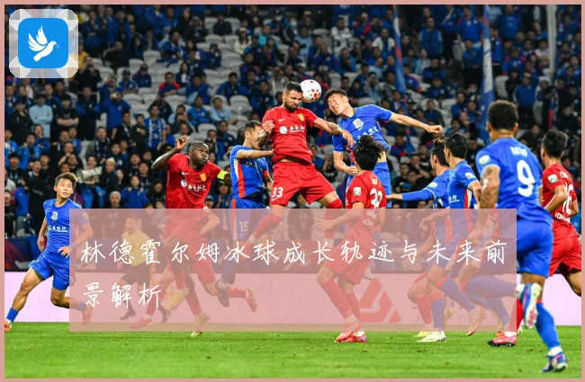 林德霍尔姆冰球成长轨迹与未来前景解析