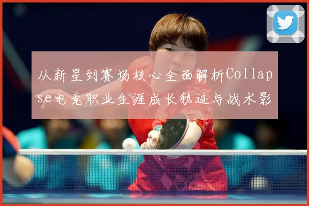 从新星到赛场核心全面解析Collapse电竞职业生涯成长轨迹与战术影响力